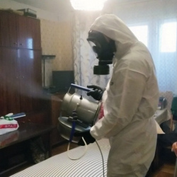 Дезинфекция от клопов в Сковородино