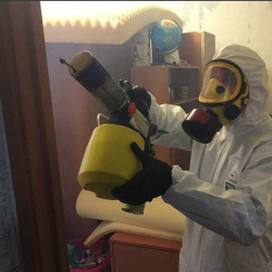 Уничтожение клопов в квартире. Сковородино